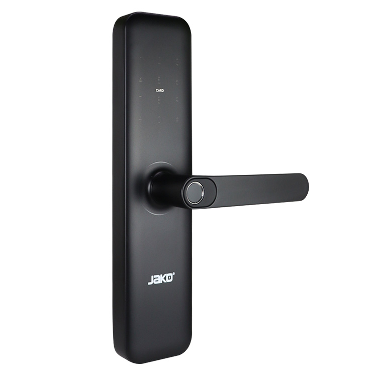 Cerradura en acabado negro - Vista 2